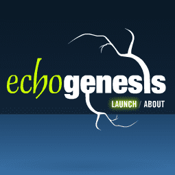 Echogenesis