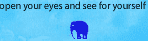 Elephant Rave
