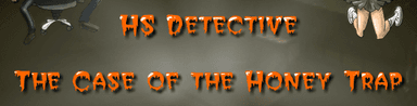 High School Detective
