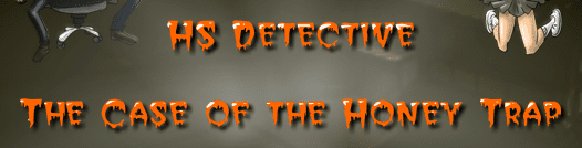 High School Detective