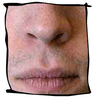 Nose