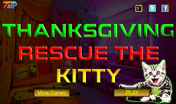 Thanksgiving Rescue The Kitty