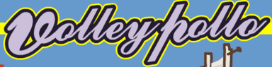 Volleypollo