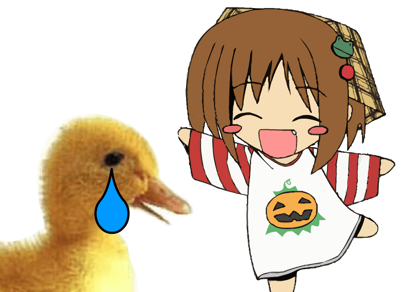 emoduck.swf screenshot