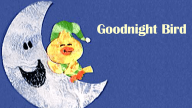 Goodnight Bird