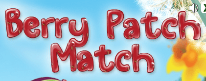 Berry Patch Match