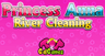 Princess Anna River Cleaning
