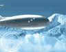 Central Partnership Blimp Animation