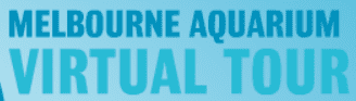 Melbourne Aquarium Virtual Tour