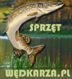 Sprzęt Wędkarza Header