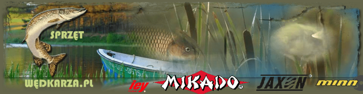 Sprzęt Wędkarza Header screenshot