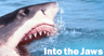 Into The Jaws