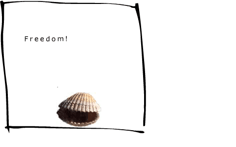 Shell screenshot