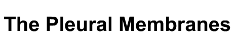 The Pleural Membranes