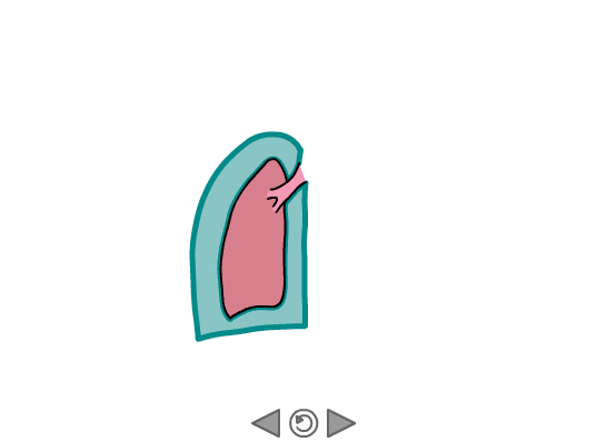 The Pleural Membranes screenshot