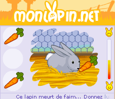 MonLapin.net - bannière 230x200 screenshot