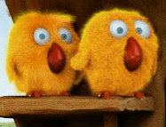 Birds