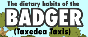 The Dietary Habits of the Badger (Taxedea Taxis)