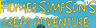 Homer Simpson's Great Adventure