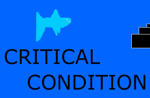 Critical Condition