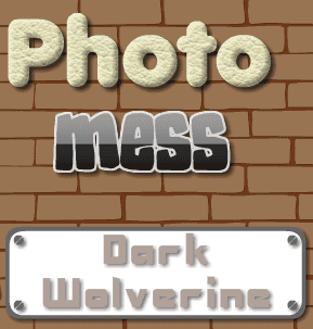 Photo Mess Dark Wolverine