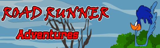Road Runner Adventures