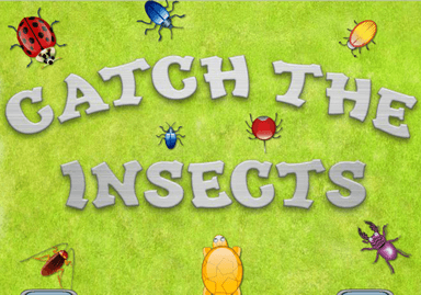 Catch the Insects