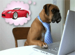 Computer Wish Dog