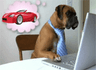 Computer Wish Dog