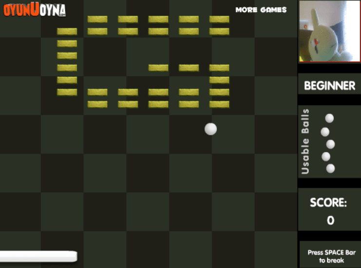 Webcam Bricks screenshot
