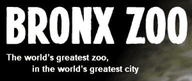 Bronx Zoo Banner
