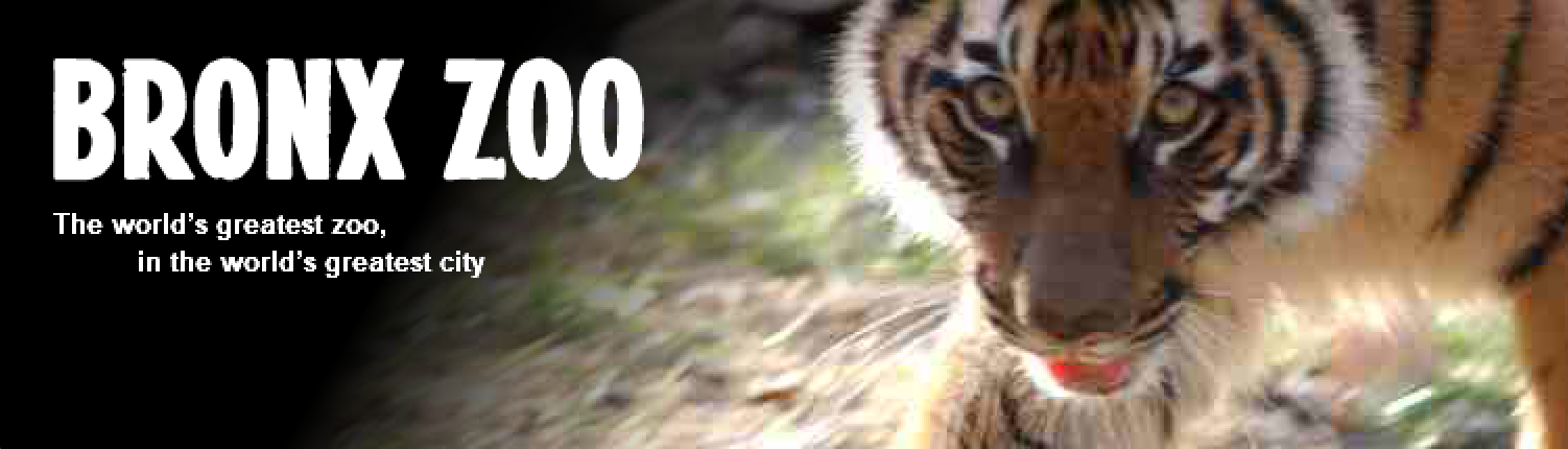 Bronx Zoo Banner screenshot