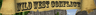 Wild West Conflict