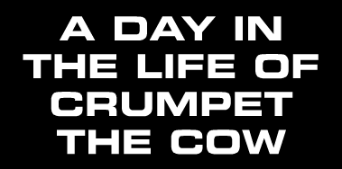 Big Bubba 2003: A Day in the Life of Crumpet the Cow