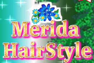 Merida Hairstyle