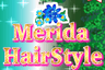 Merida Hairstyle
