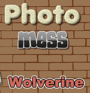 Photo Mess Wolverine
