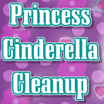 Princess Cinderella Cleanup