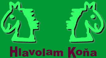 Hlavolam Koňa