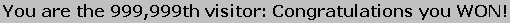 you_WON.swf