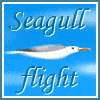 Seagull Flight