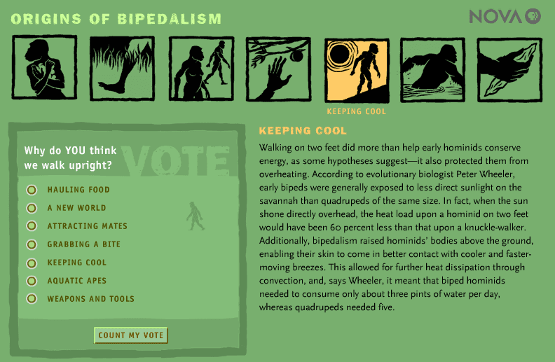 Origins of Bipedalism screenshot