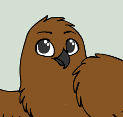 Create an Owl