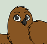 Create an Owl