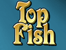 Top Fish