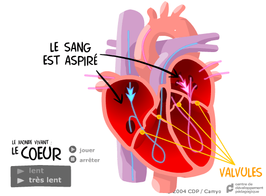Le Monde Vivant : Le Coeur screenshot