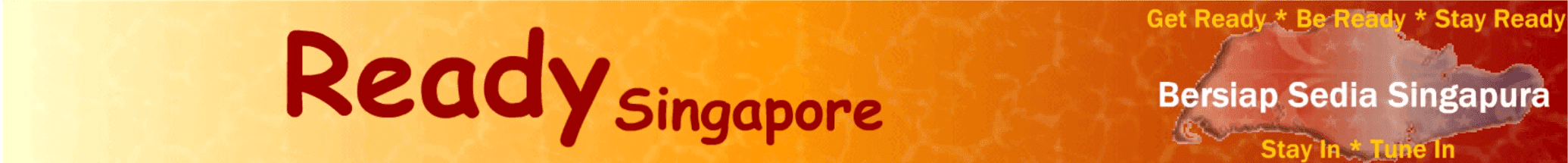 Ready Singapore 2005 Website Banner screenshot