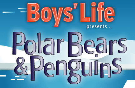 Polar Bears and Penguins