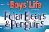 Polar Bears and Penguins