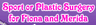 Sport or Plastic Surgery for Fiona and Merida